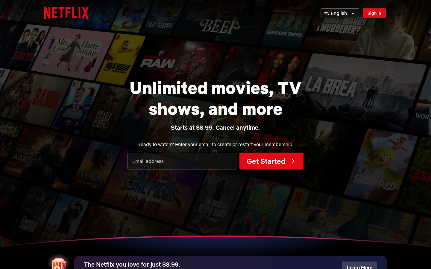 Screenshot of the netflix.com homepage