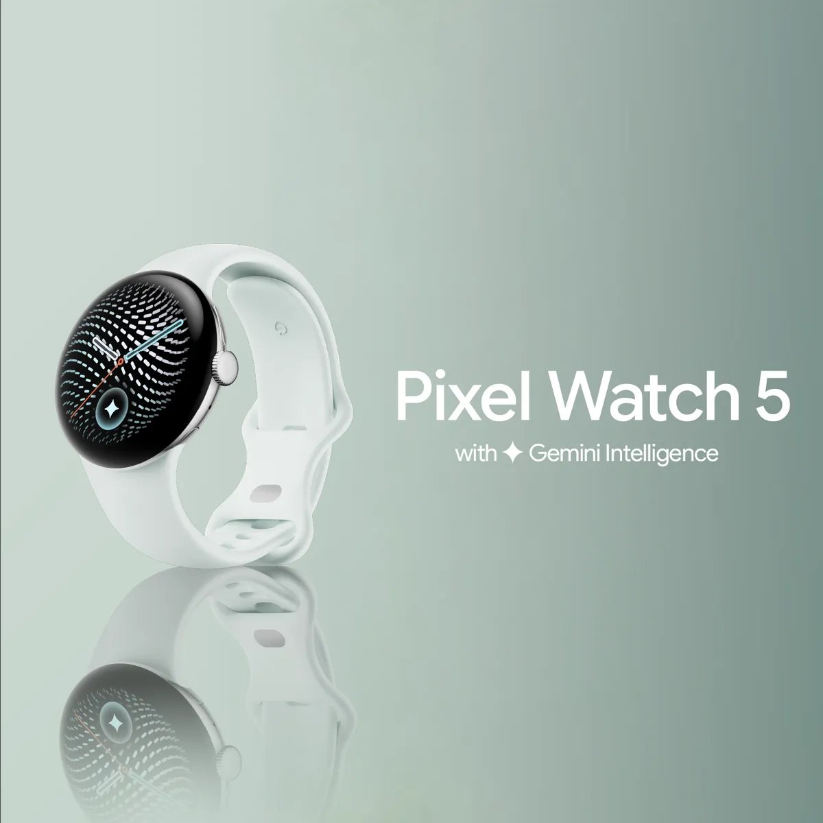 Google — MBGCollection_ThumbWatch